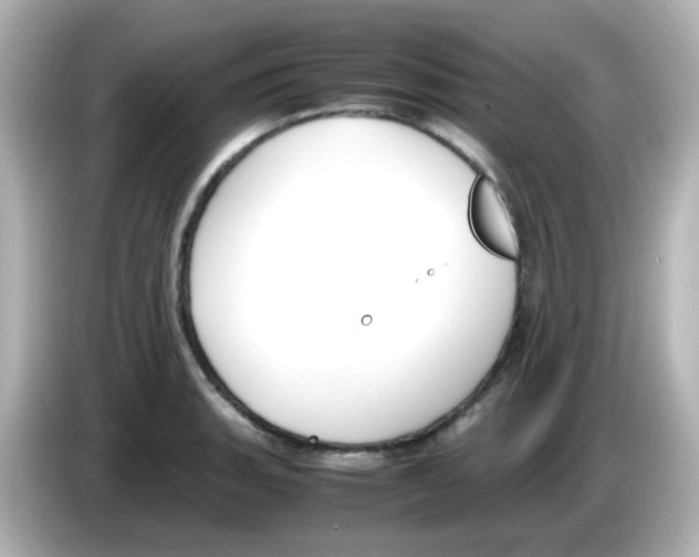 X0000085781135200704091407