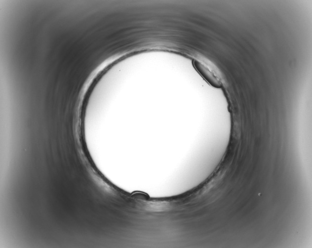 X0000085781136200704091407