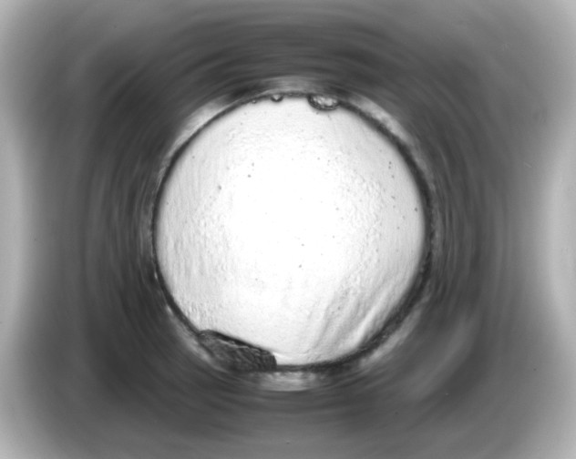 X0000085781137200704091407