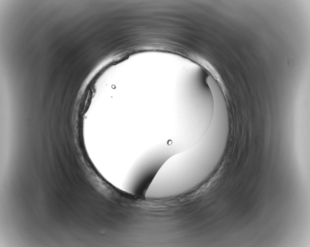 X0000085781138200704091407