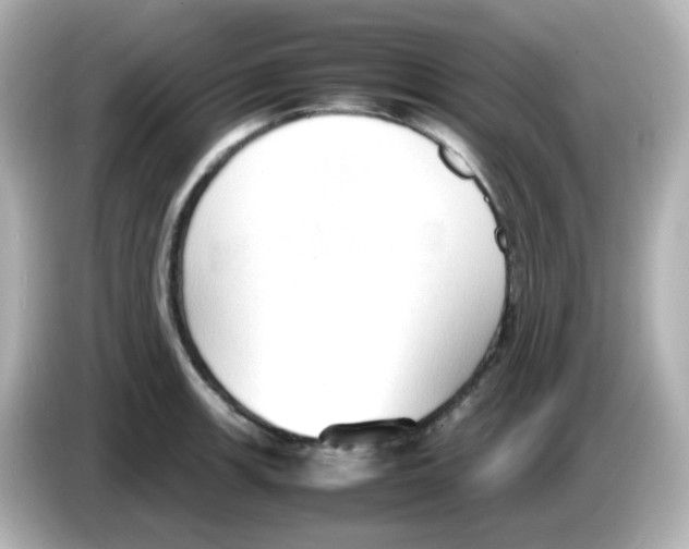 X0000085781139200704091407