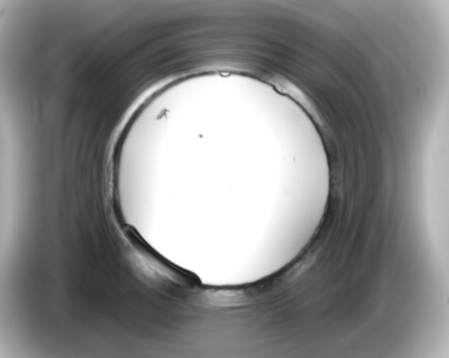 X0000085781140200704091407