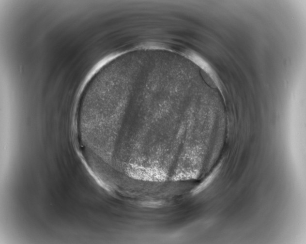 X0000085781141200704091407