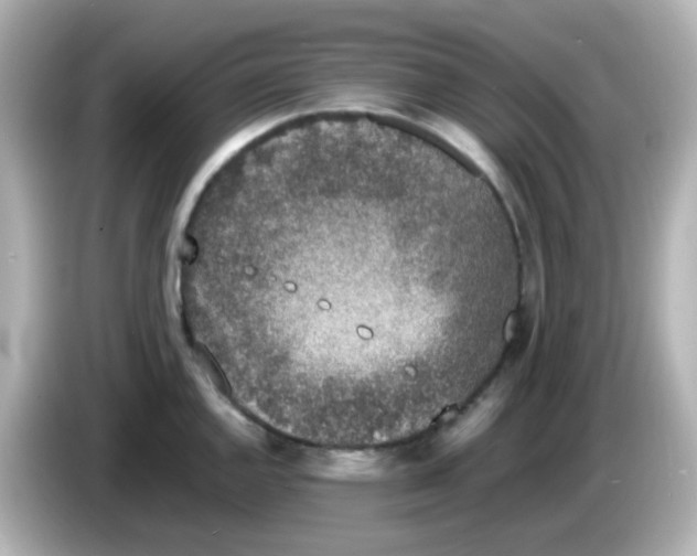 X0000085781144200704091407