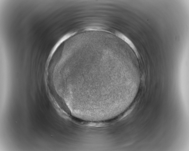 X0000085781146200704091407