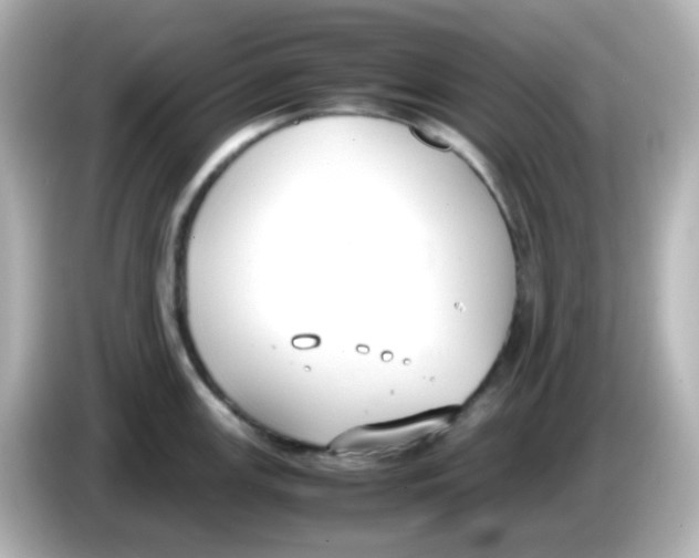 X0000085781147200704091407