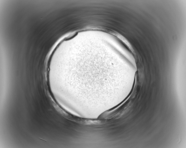 X0000085781148200704091407