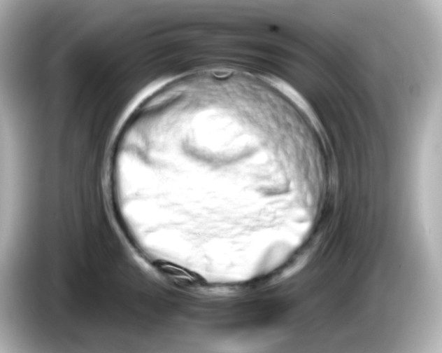 X0000085781149200704091407