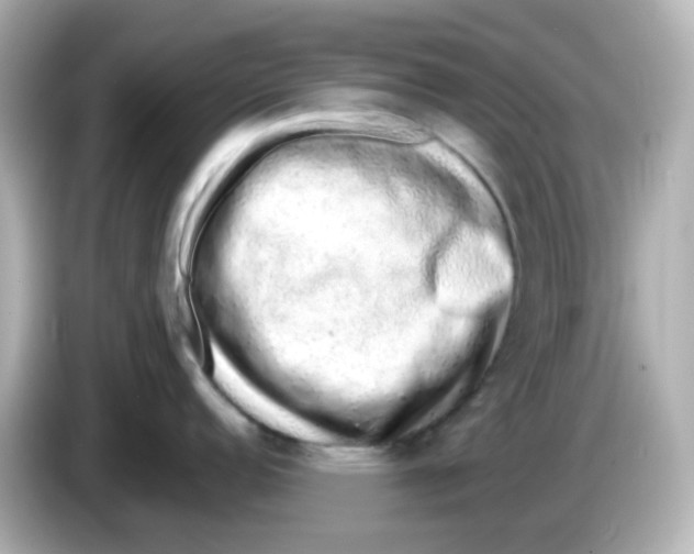 X0000085781152200704091407