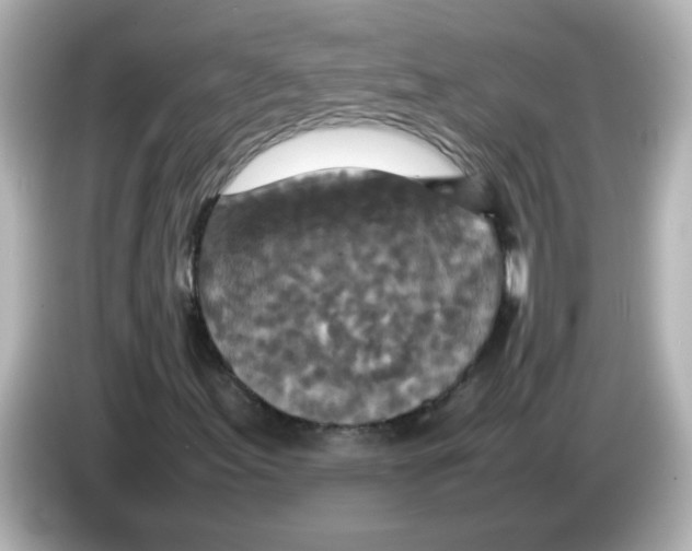 X0000085781155200704091406