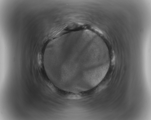 X0000085781156200704091406