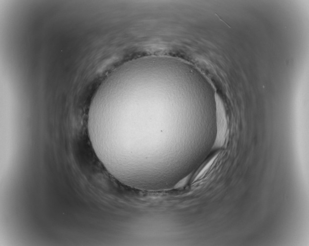 X0000085781157200704091406