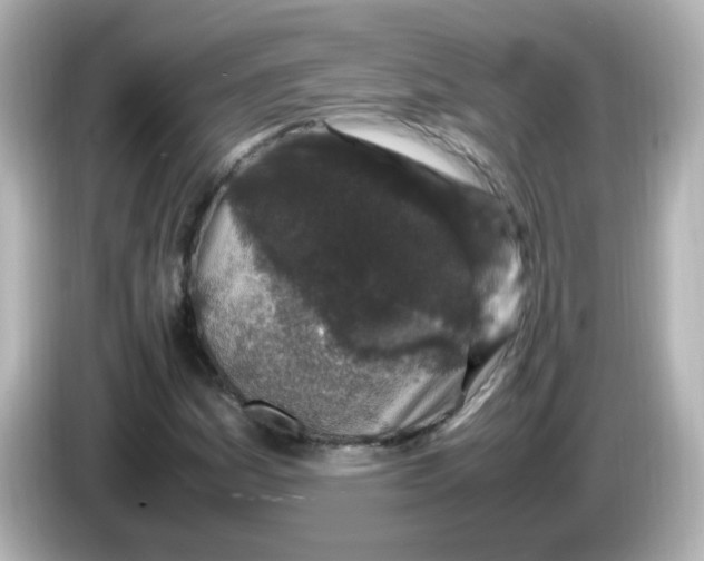 X0000085781161200704091406