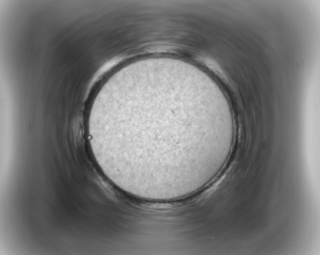 X0000085781164200704091406