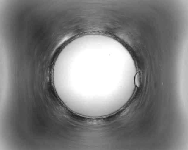 X0000085781165200704091406