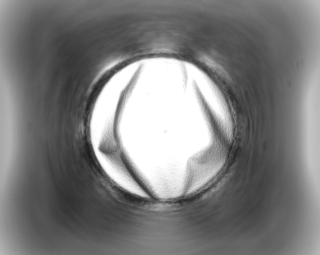 X0000085781166200704091406