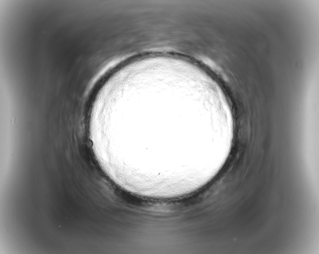 X0000085781167200704091406