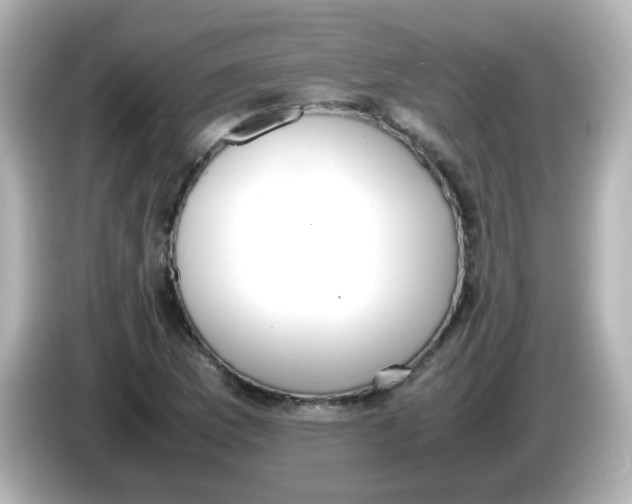 X0000085781169200704091406