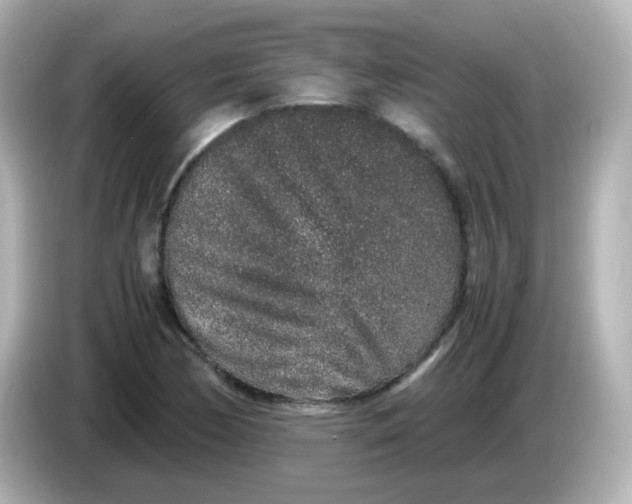 X0000085781170200704091406