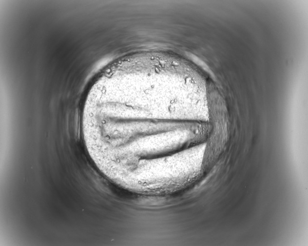 X0000085781171200704091406