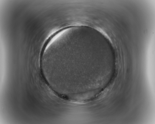 X0000085781173200704091406