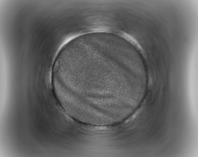 X0000085781174200704091406