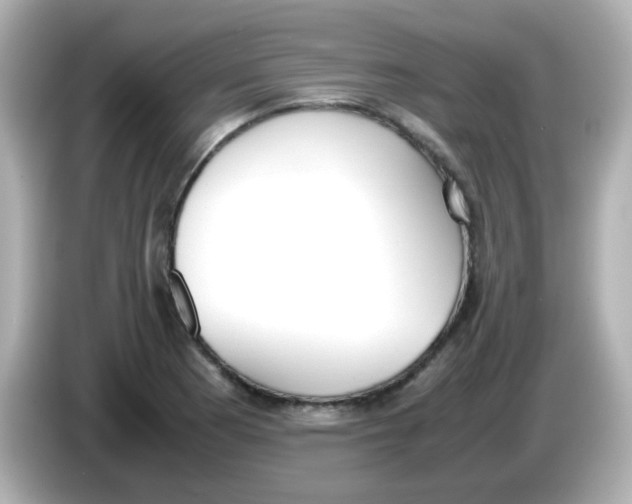 X0000085781177200704091406