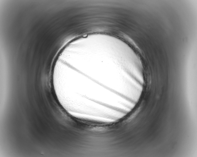 X0000085781178200704091406