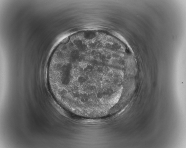 X0000085781179200704091406