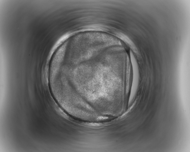 X0000085781180200704091406