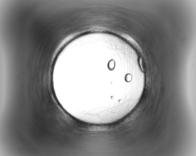 X0000085781183200704091406