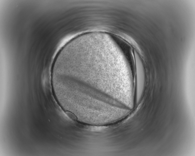 X0000085781184200704091406