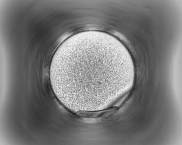 X0000085781185200704091406