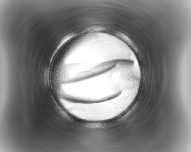 X0000085781186200704091406