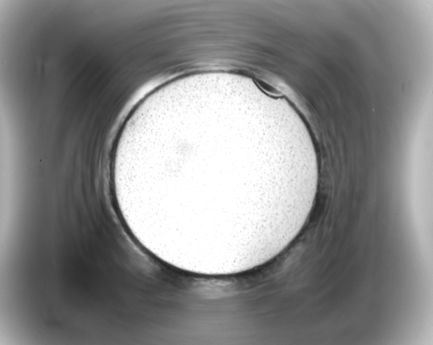 X0000085781187200704091406