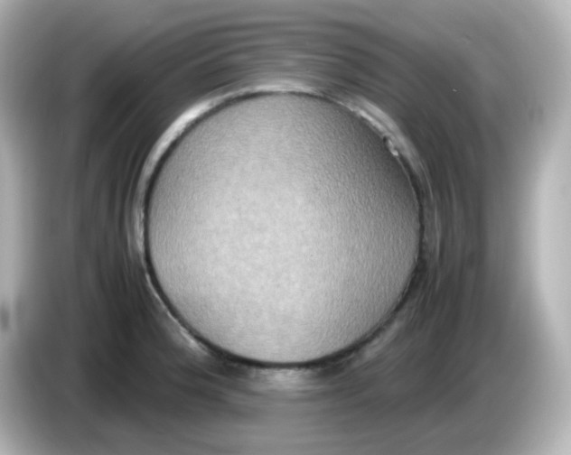 X0000085781188200704091406