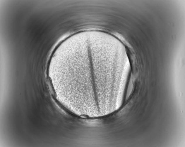 X0000085781189200704091406