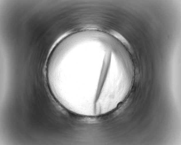 X0000085781190200704091406