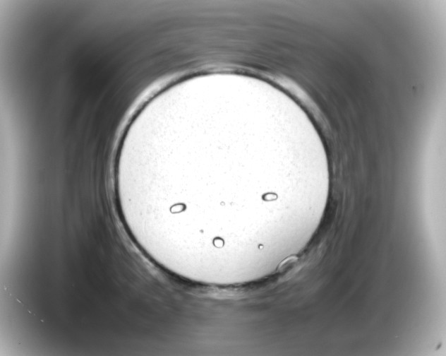 X0000085781191200704091406