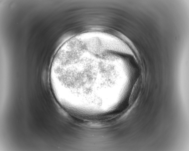 X0000085781194200704091406