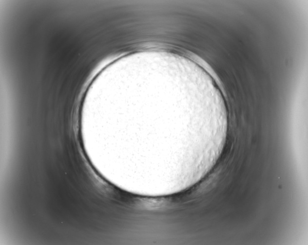 X0000085781195200704091406