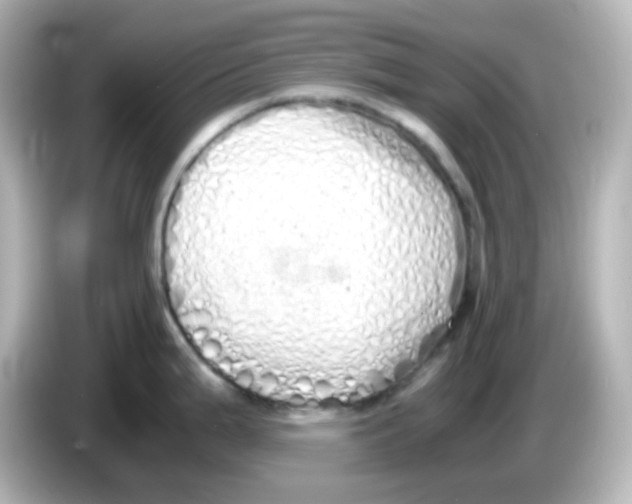 X0000085781199200704091406