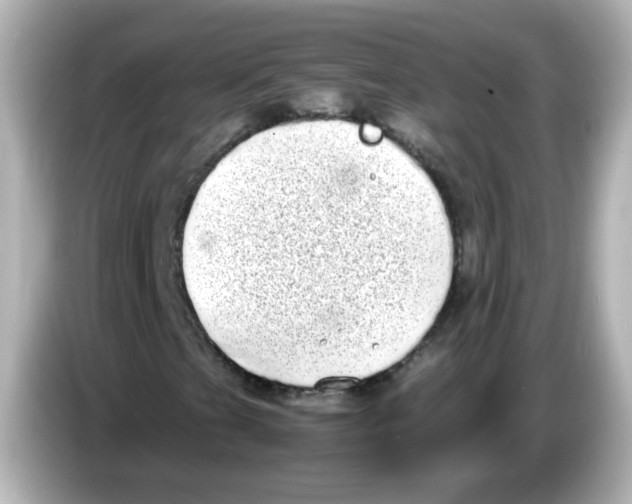 X0000085781201200704091405