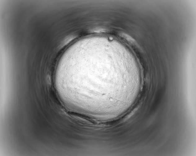 X0000085781209200704091405