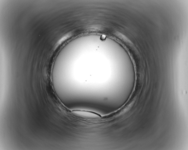 X0000085781210200704091405