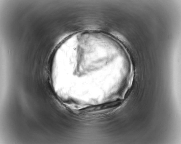 X0000085781212200704091405