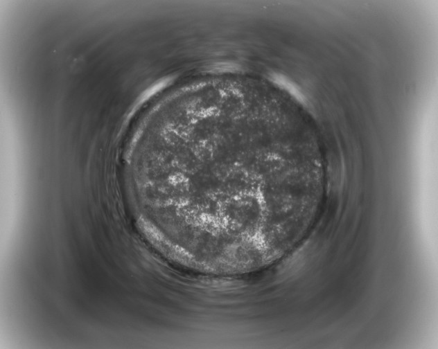 X0000085781213200704091405