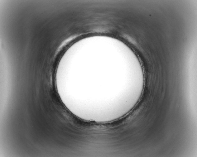 X0000085781214200704091405