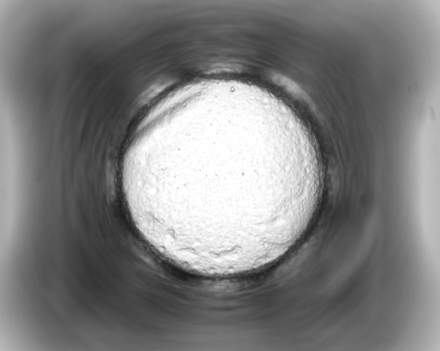 X0000085781217200704091405