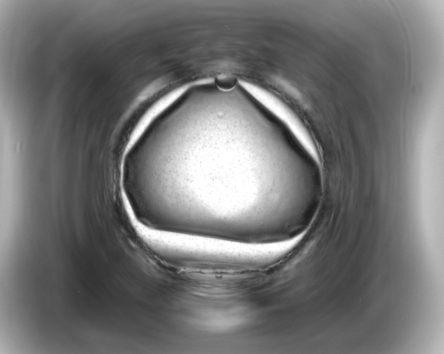 X0000085781219200704091406